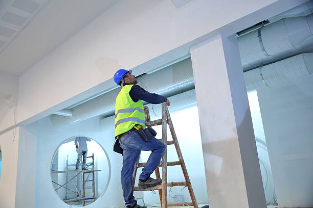 Best Ceiling Drywall Installation  in Montgomery, MN